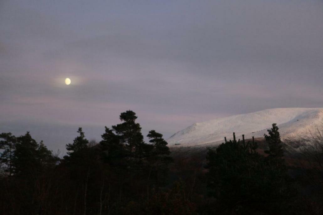 Tower Ridge Apartments Fort William Buitenkant foto